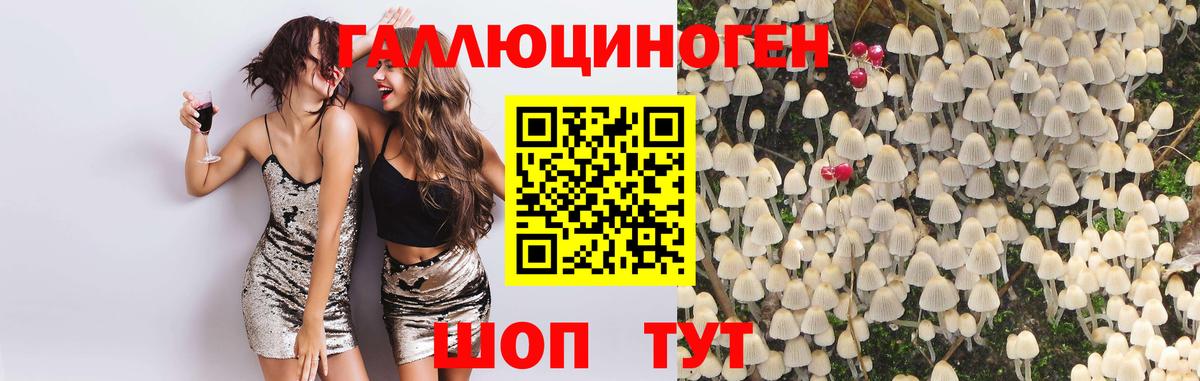 Галлюциногенные грибы Psilocybine cubensis Астрахань